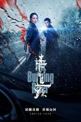 《迷雾追踪》：真相迷雾重重，人性在黑夜里挣扎，这场猫鼠游戏看得我头皮发麻！