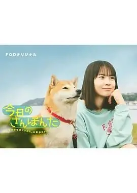 《今日份的散步》：一场关于味蕾与心灵的治愈之旅，这次没白来！